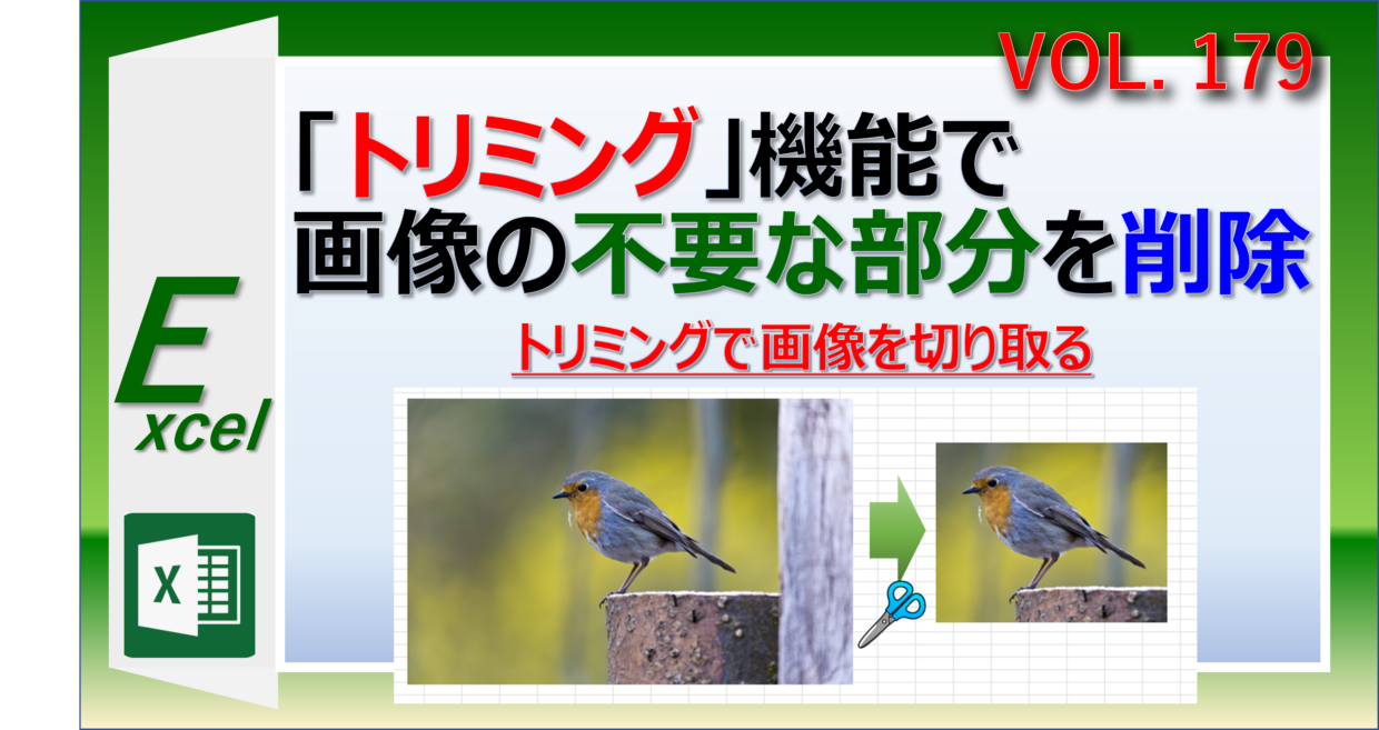 エクセルのトリミング機能で画像の不要な部分を削除